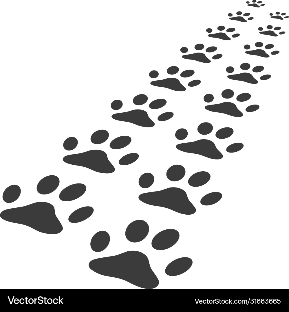 Paw logo design Vector Image