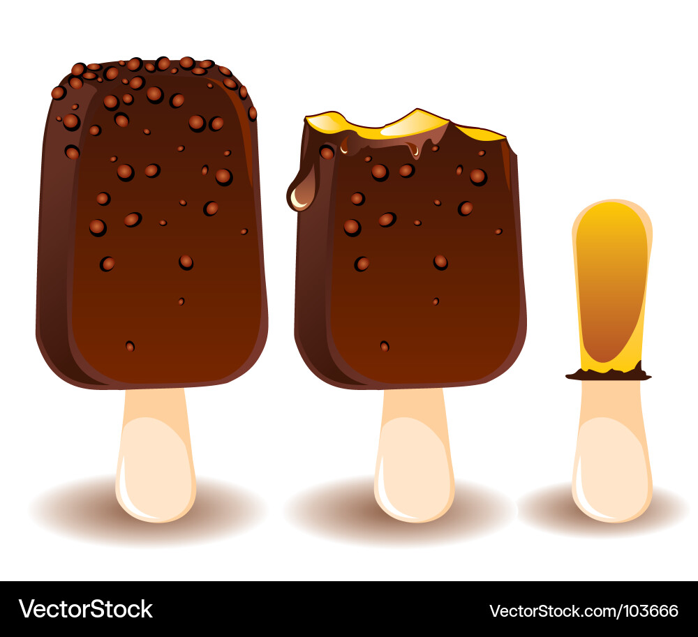 Chocolate Ice Cream Delight Vector Image