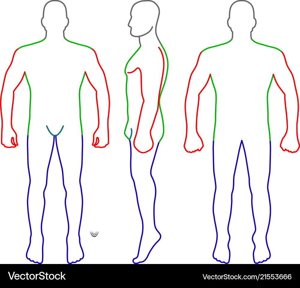 Mode Mann Körper voller Länge Glatt Template Figur Mode Mann Körper voller Länge Glatt Template Figur vektorbild