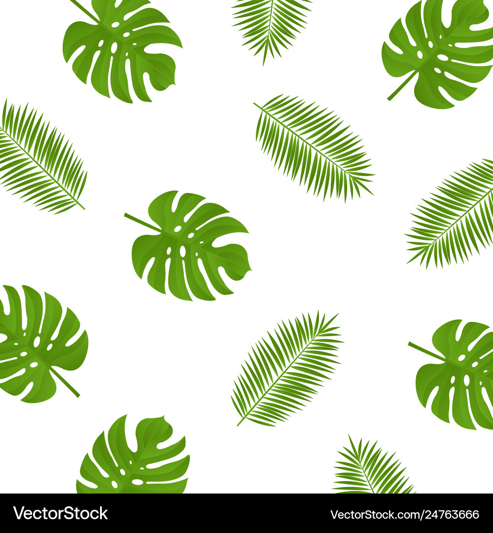 Monstera Palm Leaf Background Vector Image