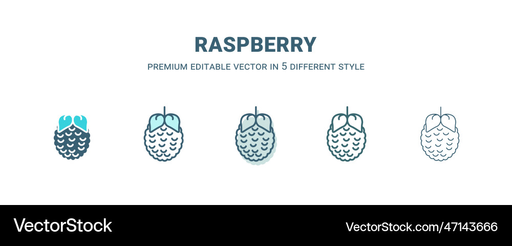 Raspberry icon in 5 different style outline Raspberry icon in 5 different style outline Vector Image