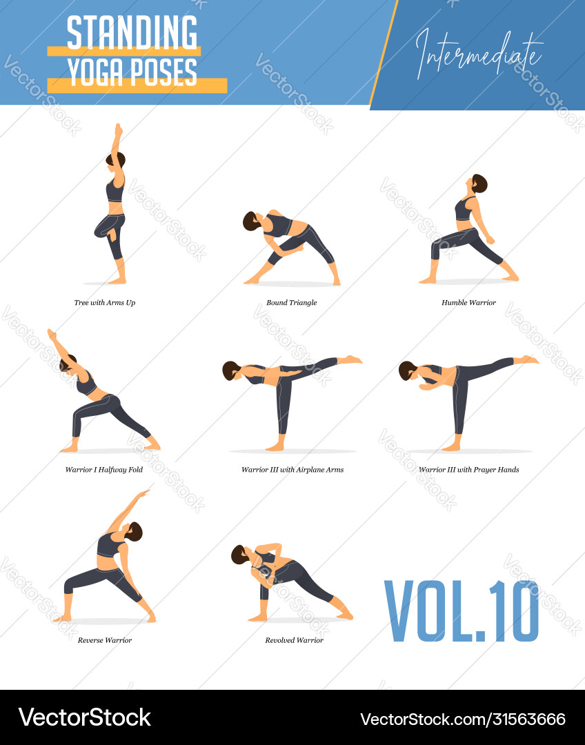 Yoga Balance & Standing Poses Vector Image