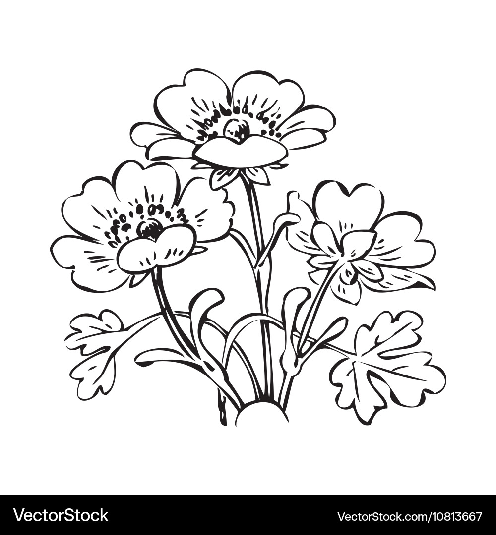 Retro Floral Branch Sketch vector image