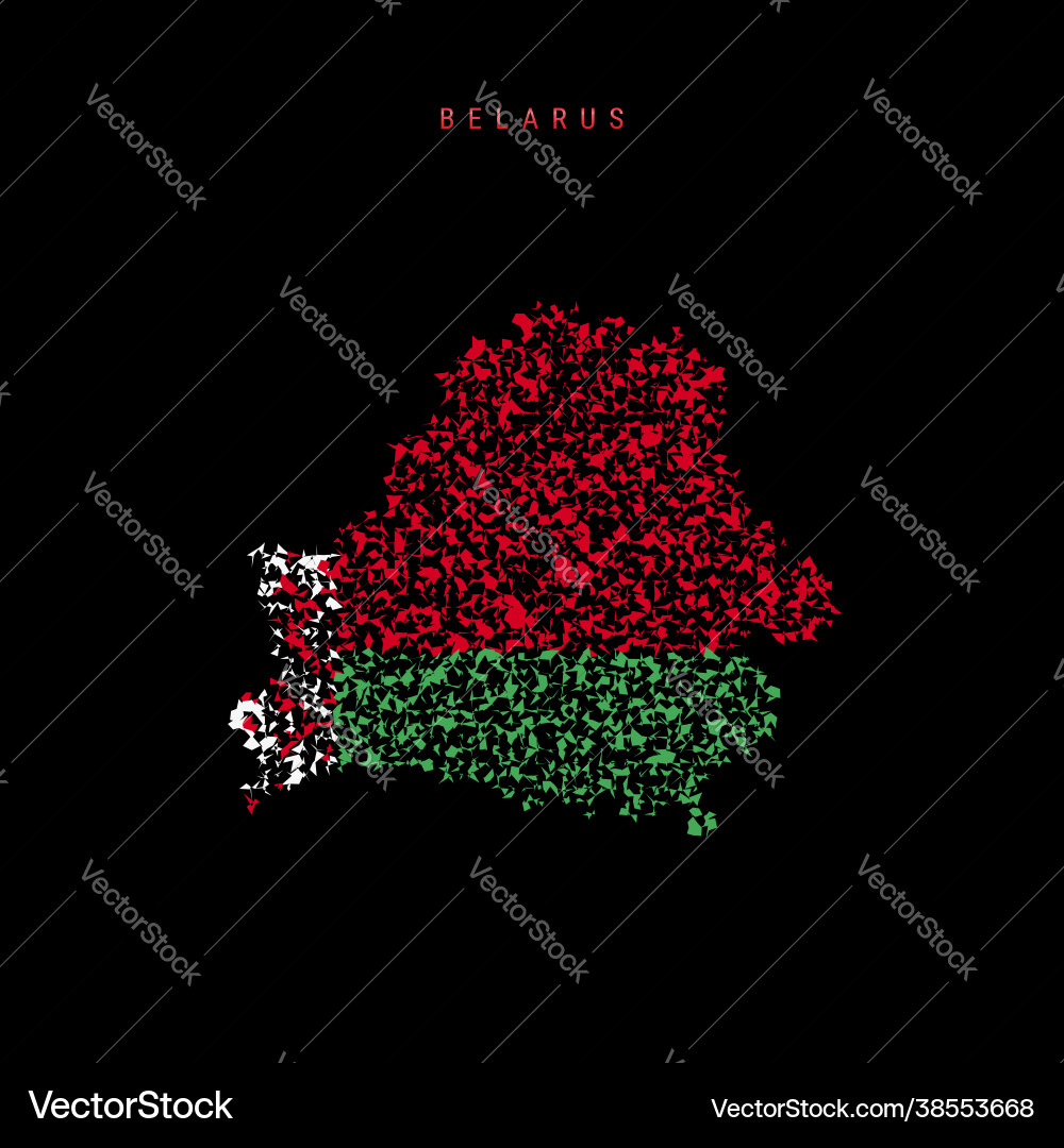 Belarus flag map chaotic particles pattern Belarus flag map chaotic particles pattern Vector Image