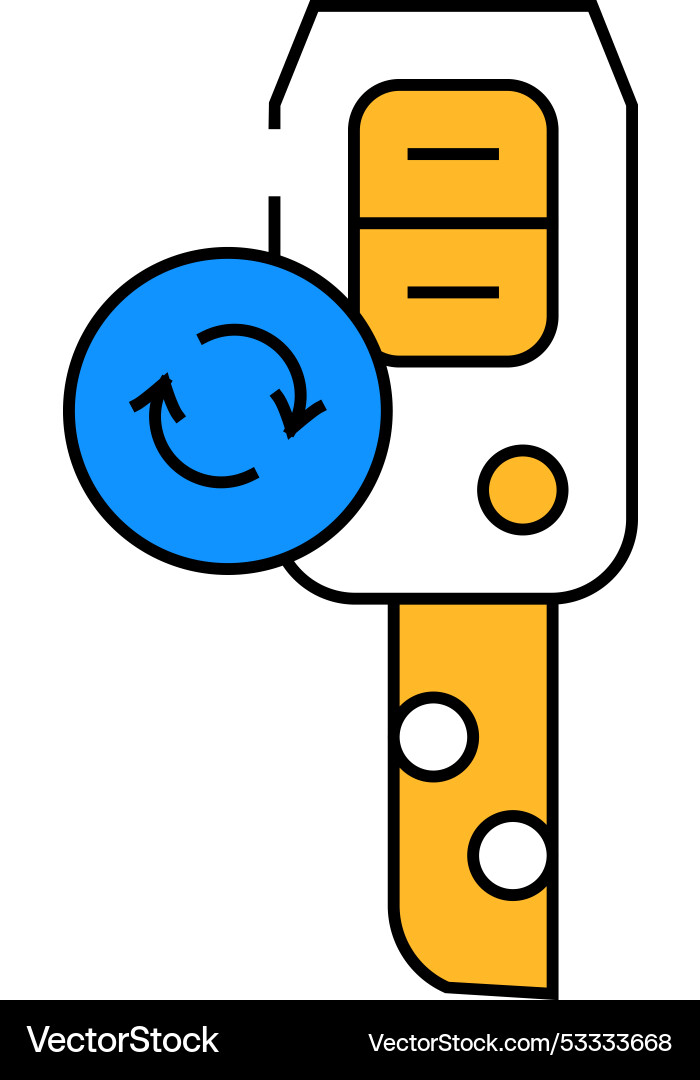 Duplicate key icon color vector image