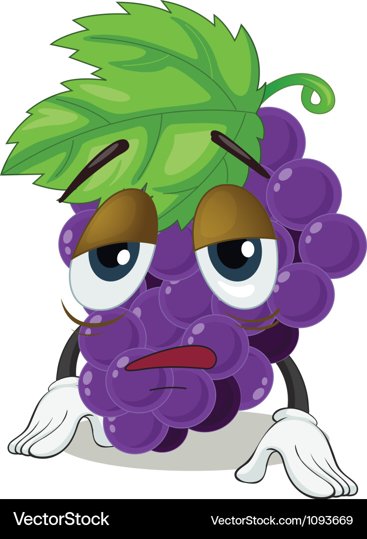 Grapes Vector Image