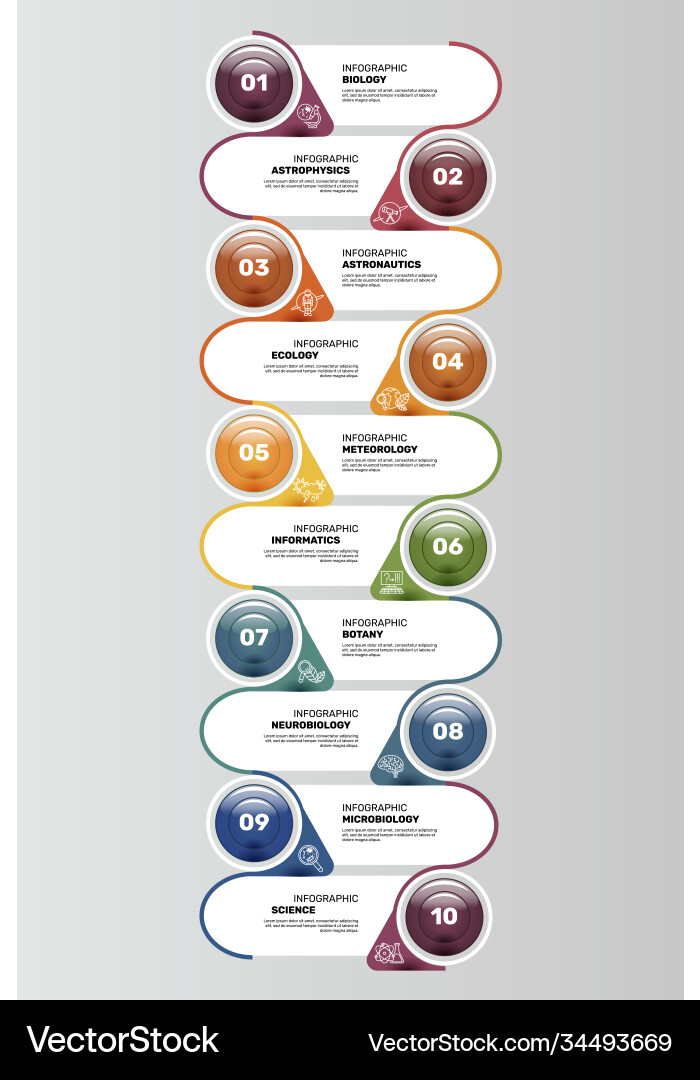 Infographic science template icons in different Infographic science template icons in different vector image