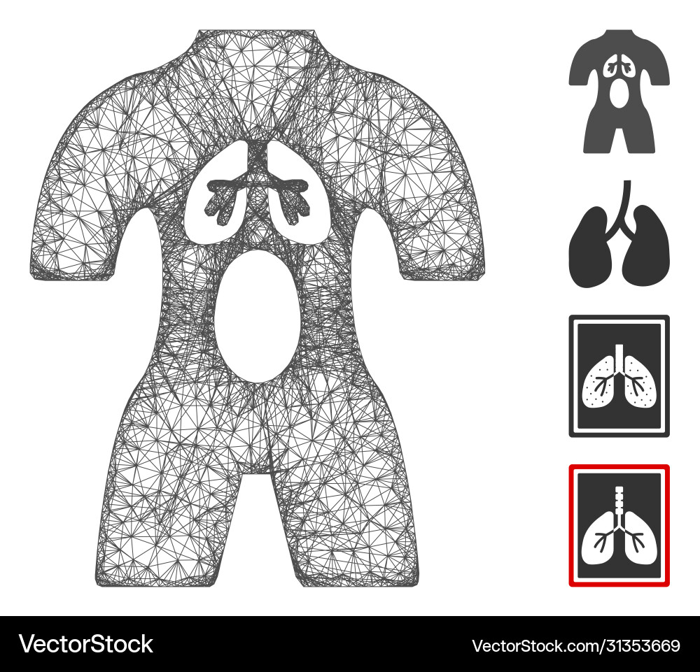 Man anatomy web mesh Man anatomy web mesh vector image