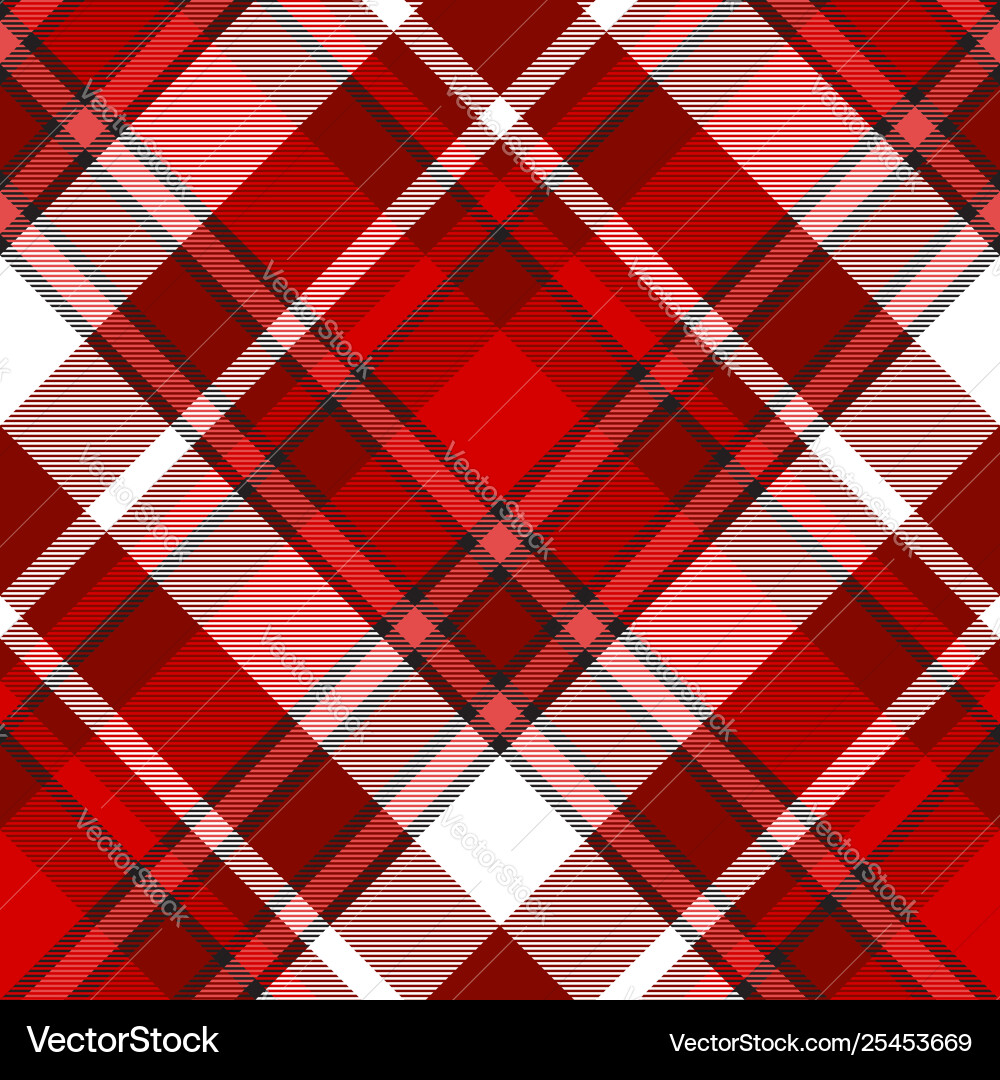 Red and White Checkered Pattern vector image