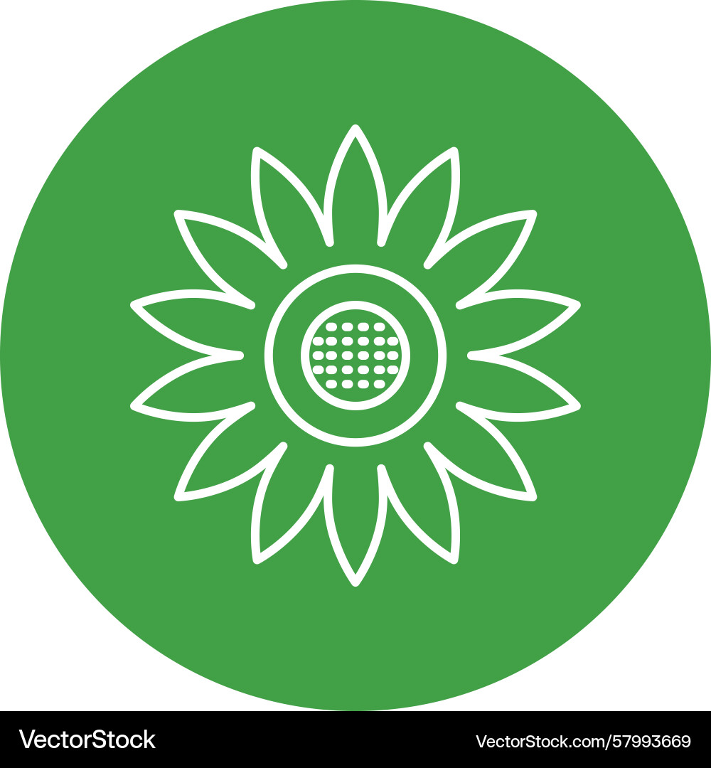 Sunflower Line Art Multi Circle Vector Image