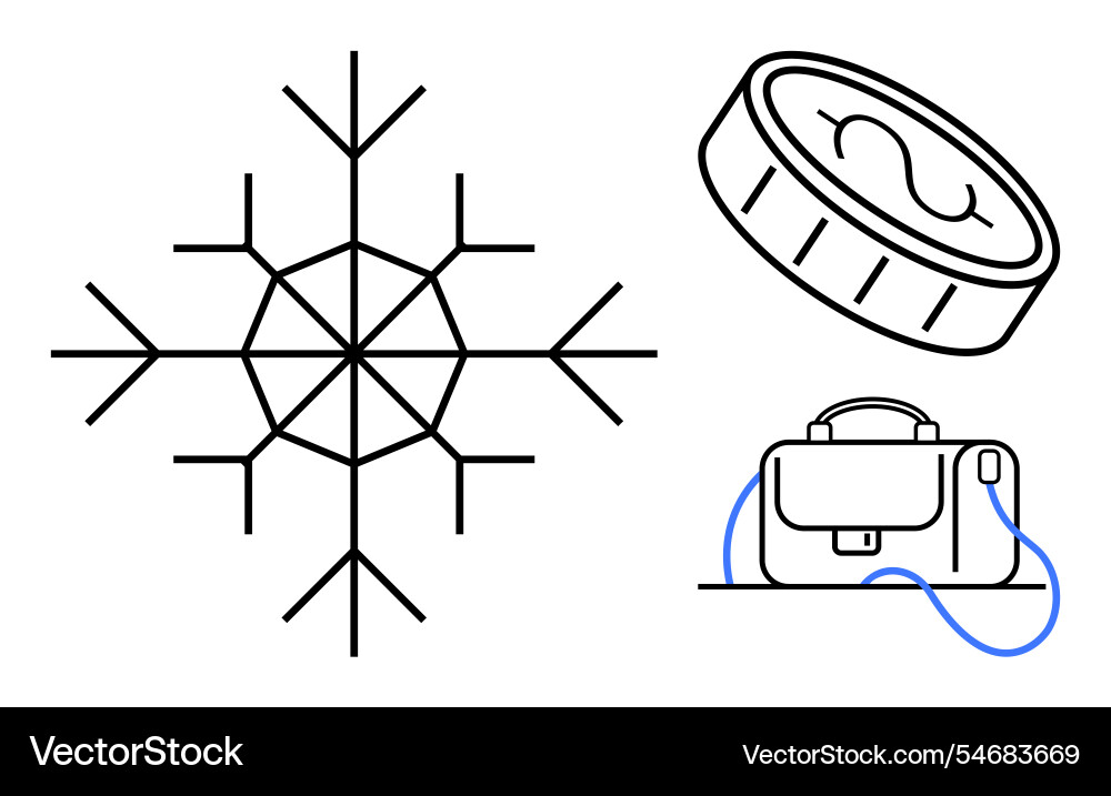 Winter-themed design with snowflake coin Vector Image