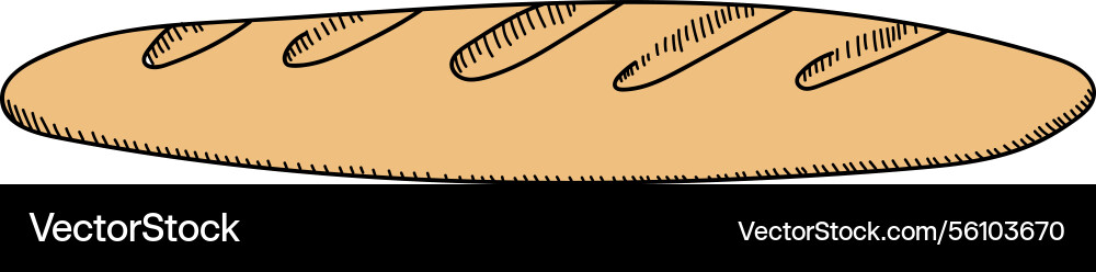 Hand-drawn baguette sketch Vector Image