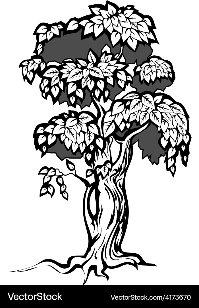 Lush Tree Silhouette vector image