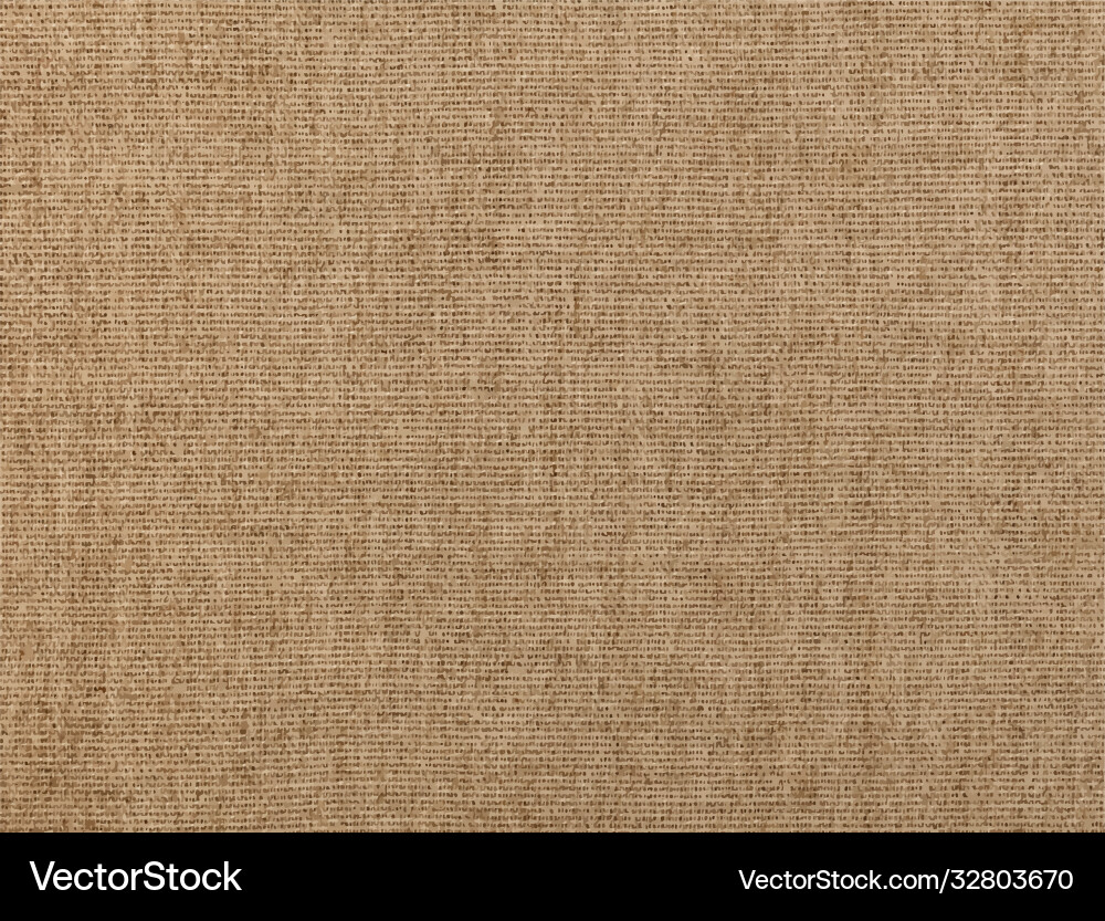 Rustic Linen Canvas Texture vector image