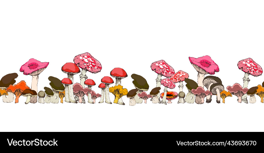 Seamless pattern of various mushrooms Vector Image