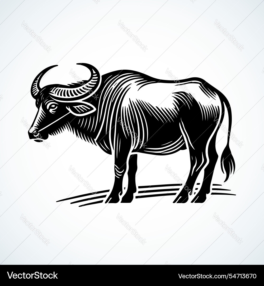 Wasser Buffalo Silhouette Wasser Buffalo Silhouette vektorbild