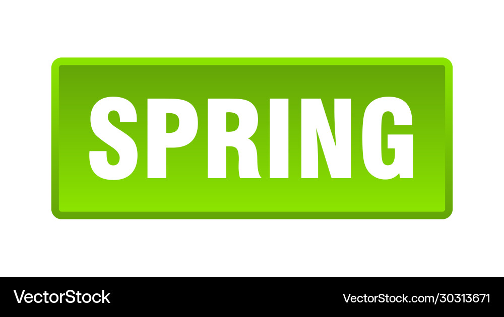 Spring button square green push vector image
