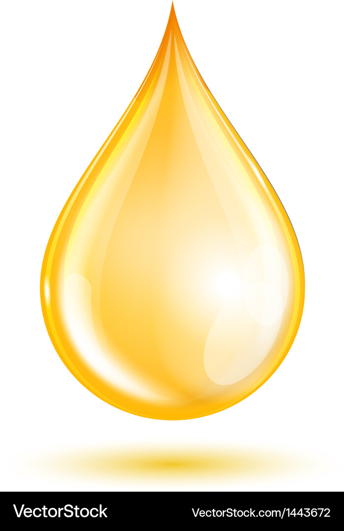 Oil Drop on White Background Vector Image