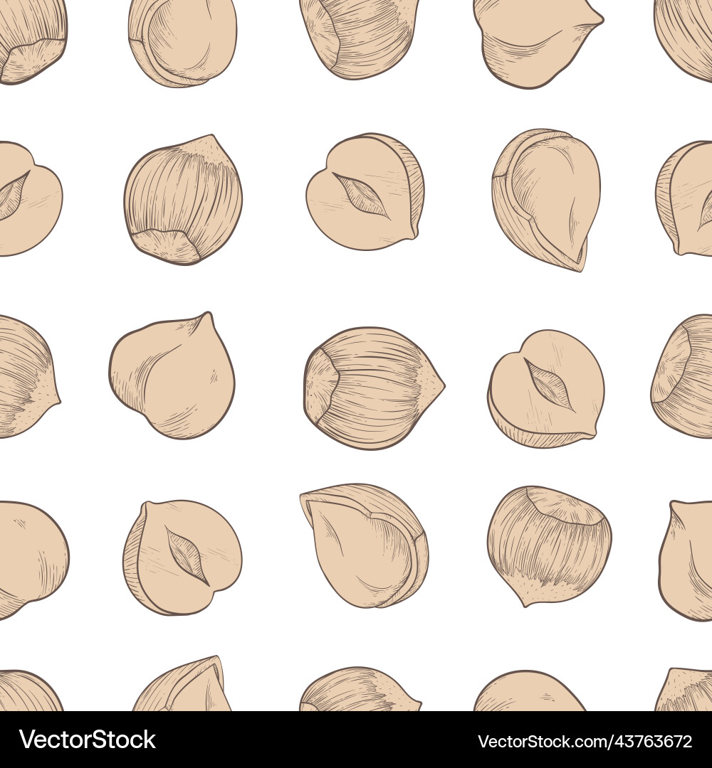 Seamless hazelnut pattern with several fruit nuts Seamless hazelnut pattern with several fruit nuts vector image