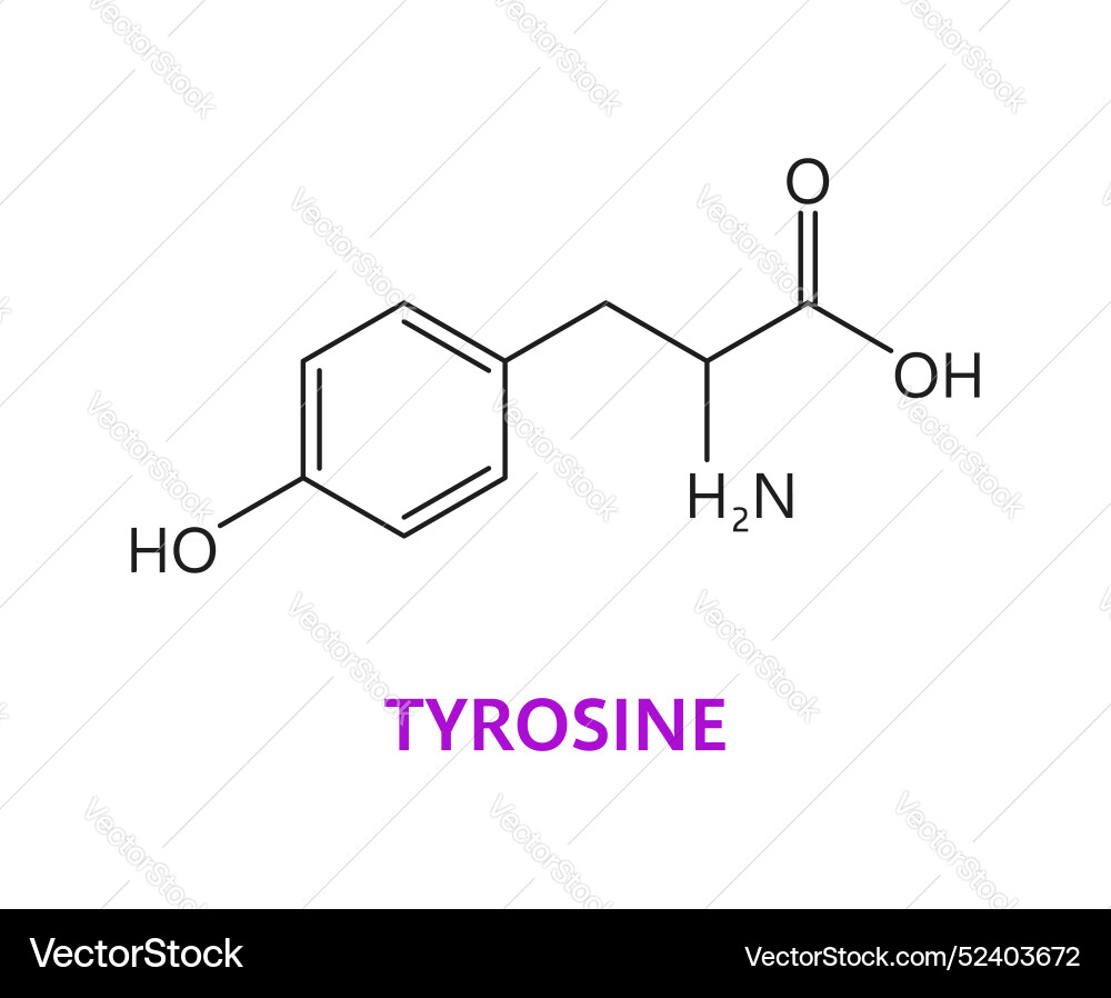 Tyrosine amino acid chemical molecules structure Tyrosine amino acid chemical molecules structure vector image