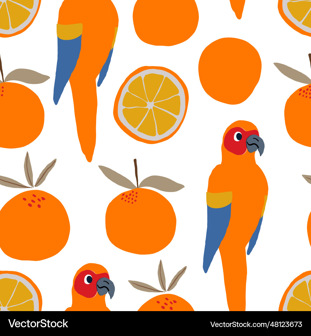 Parrots and oranges pattern on white background Parrots and oranges pattern on white background Vector Image