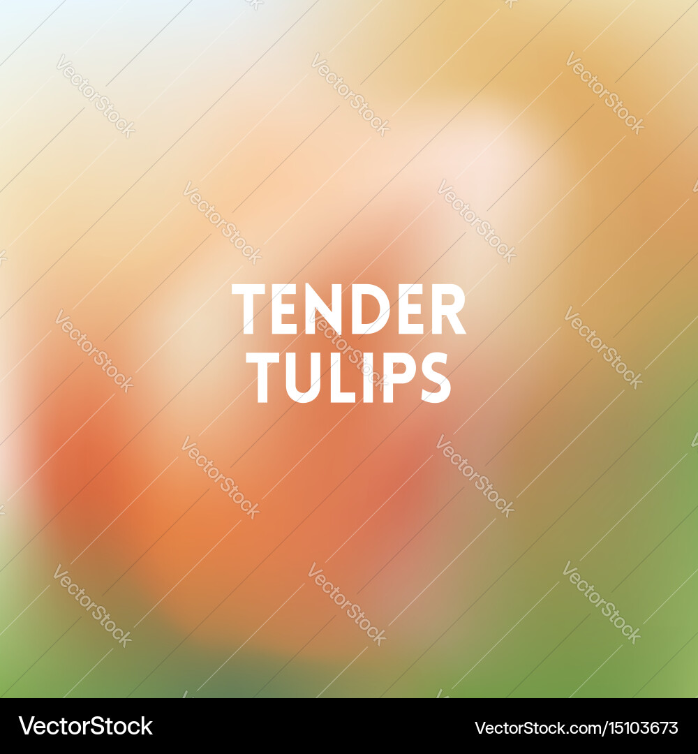Square blurred green trees spring background vector image