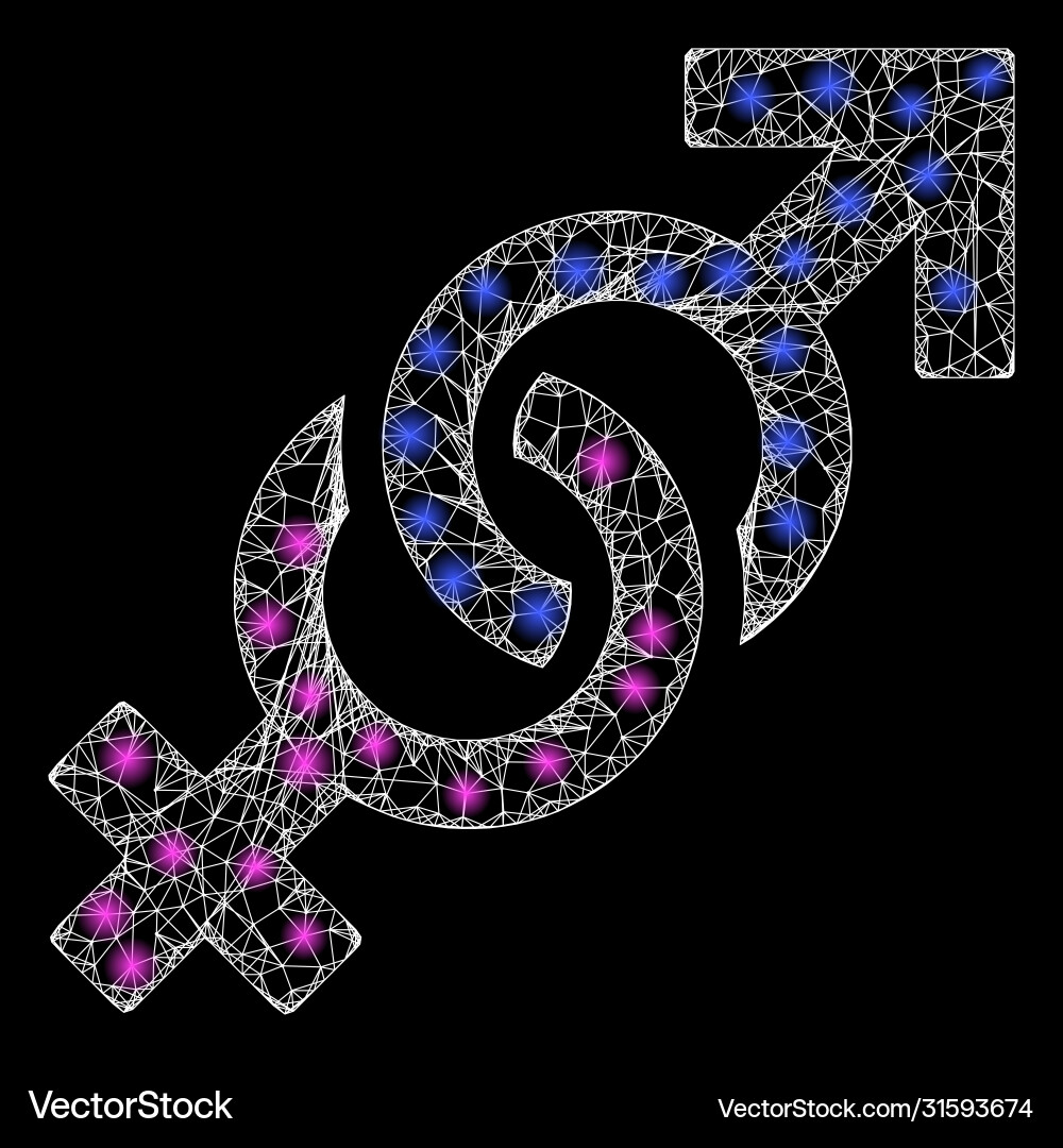 Bright web net gender confrontation symbol Bright web net gender confrontation symbol vector image