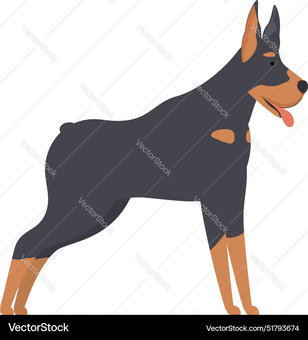 Doberman pinscher standing guard dog Royalty Free Vector