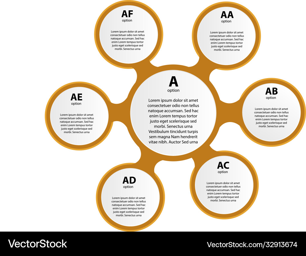 Infographic report template with lines and icons Vector Image