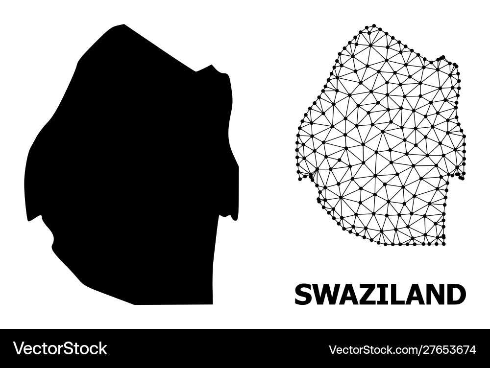 Solid and network map swaziland Vector Image