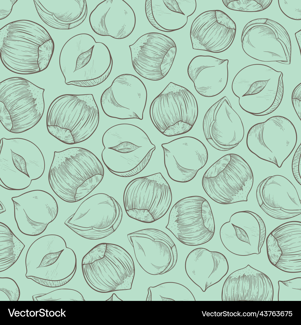 Seamless hazelnut pattern with several fruit nuts vector image