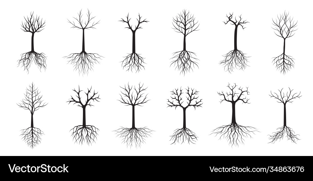 Set trees on white background Vector Image