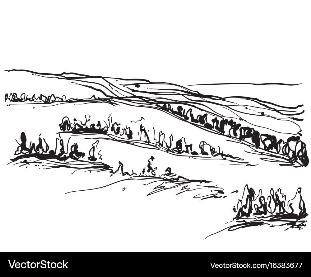 Landscape with fields and trees sketching vector image