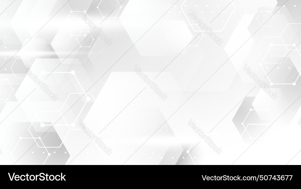 Modern Hexagonal Pattern Background vector image