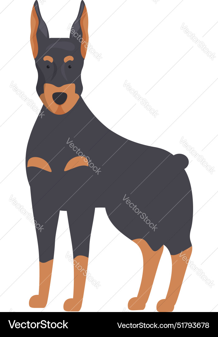 Doberman pinscher standing guard dog breed Vector Image