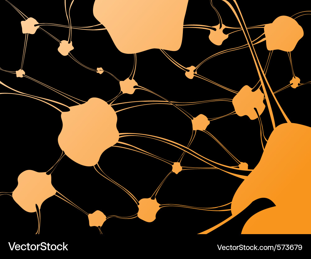 Neural Network Connections vector image