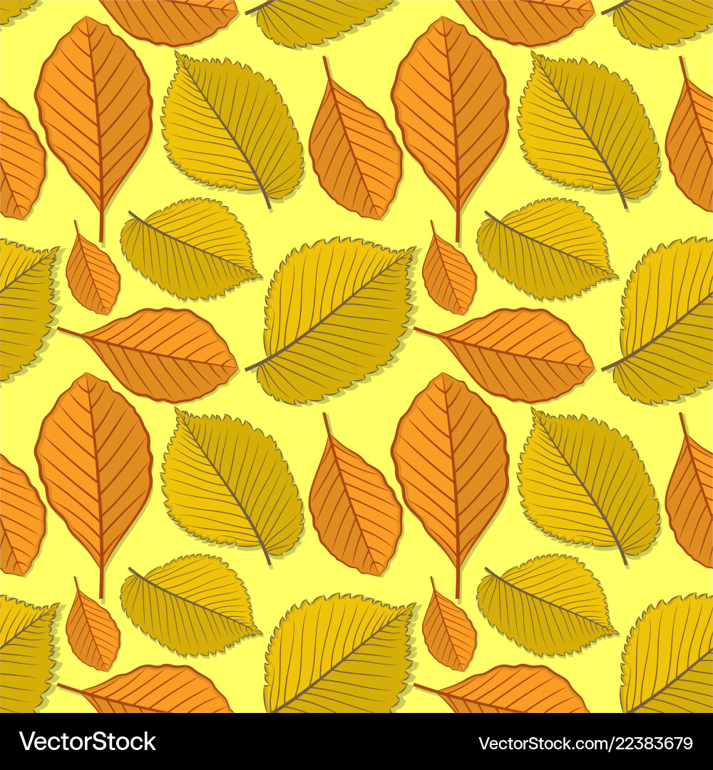 Seamless pattern with elm and beech autumn leaves Seamless pattern with elm and beech autumn leaves vector image