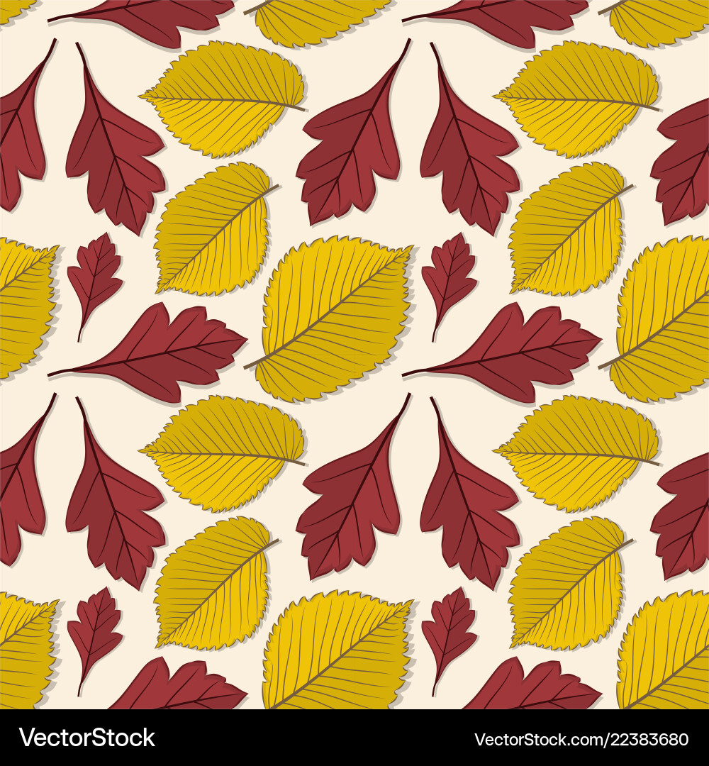 Seamless pattern with elm and hawthorn leaves Vector Image