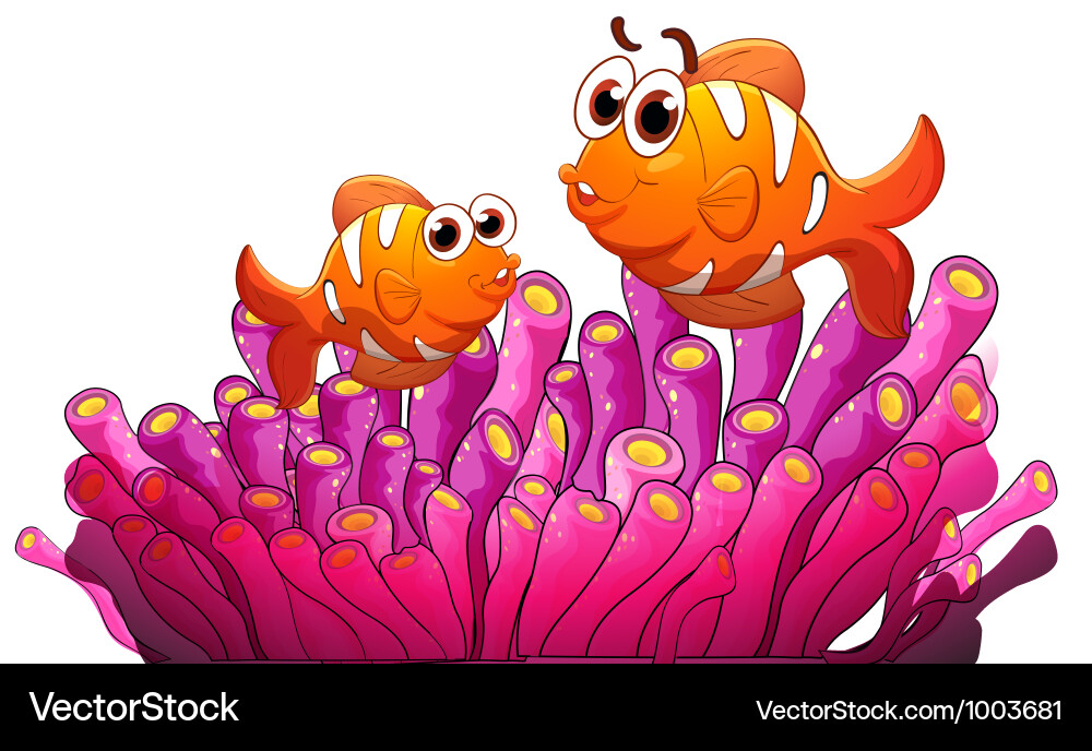 Clownfish and sea anemone Royalty Free Vector Image