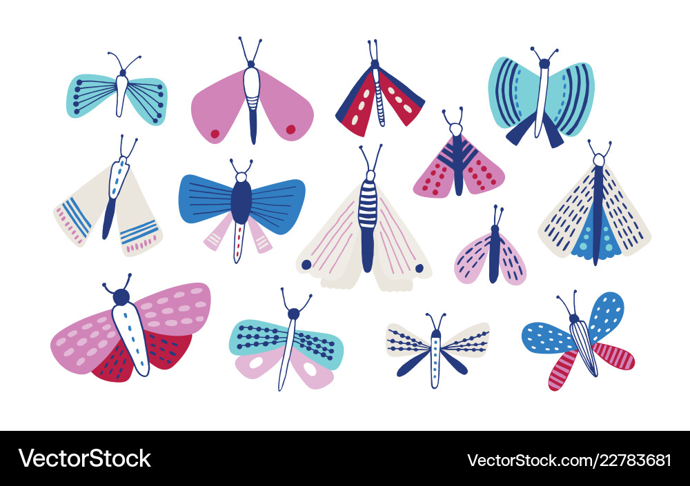 Collection of moths different types and sizes Collection of moths different types and sizes Vector Image