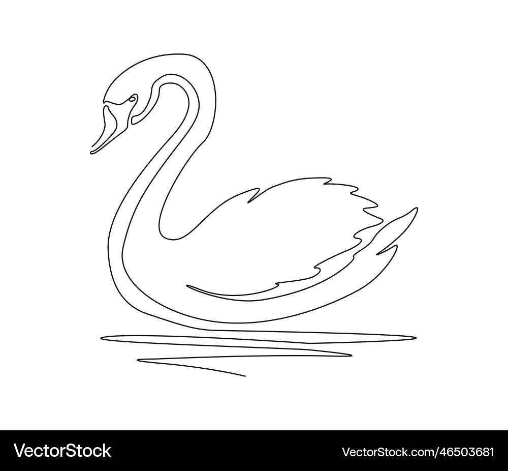 Continuous one line drawing of mute swan simple Vector Image