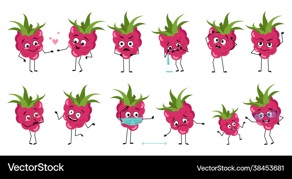 Cute Raspberry Characters with Emotions vector image