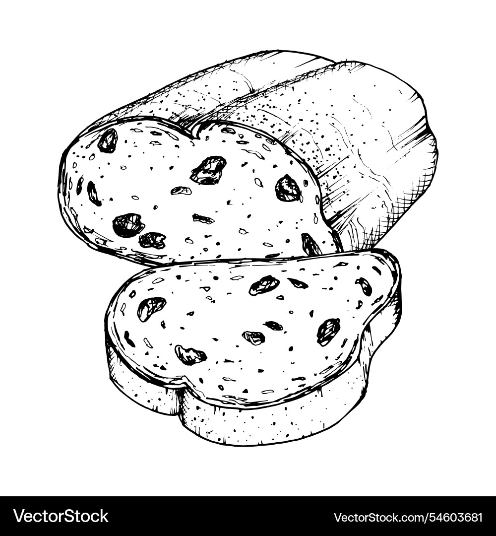 Sliced raisin bread Royalty Free Vector Image - VectorStock