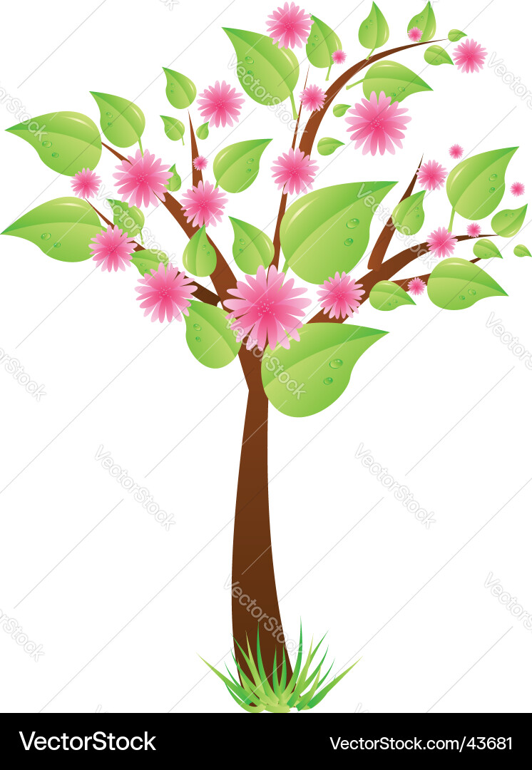 Spring tree Vector Image