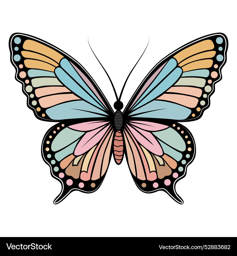 A color image of butterfly in boho Vector Image