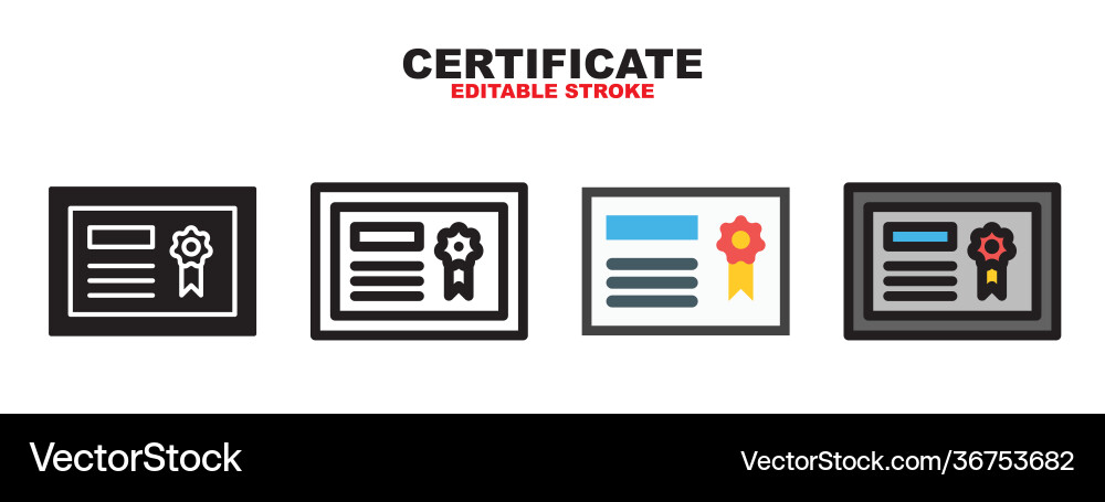 Certificate icon set with different styles Certificate icon set with different styles vector image