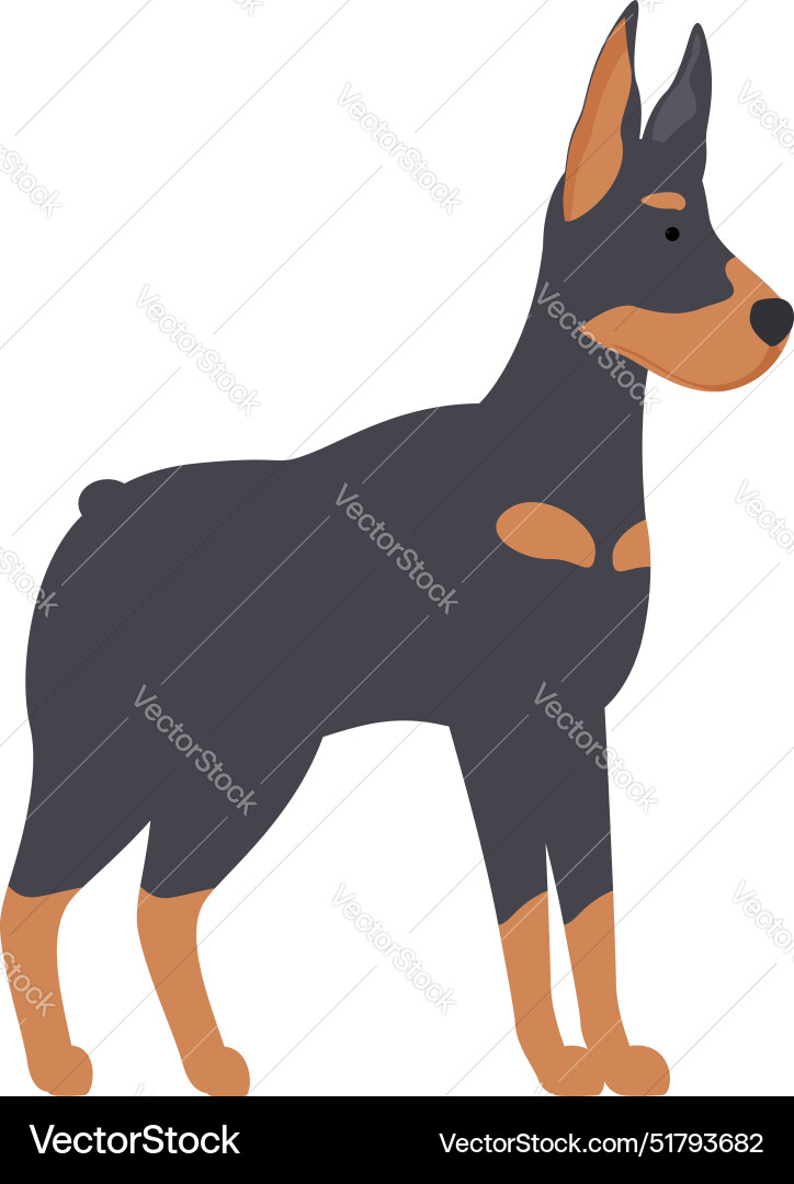 Doberman pinscher standing guard dog Royalty Free Vector