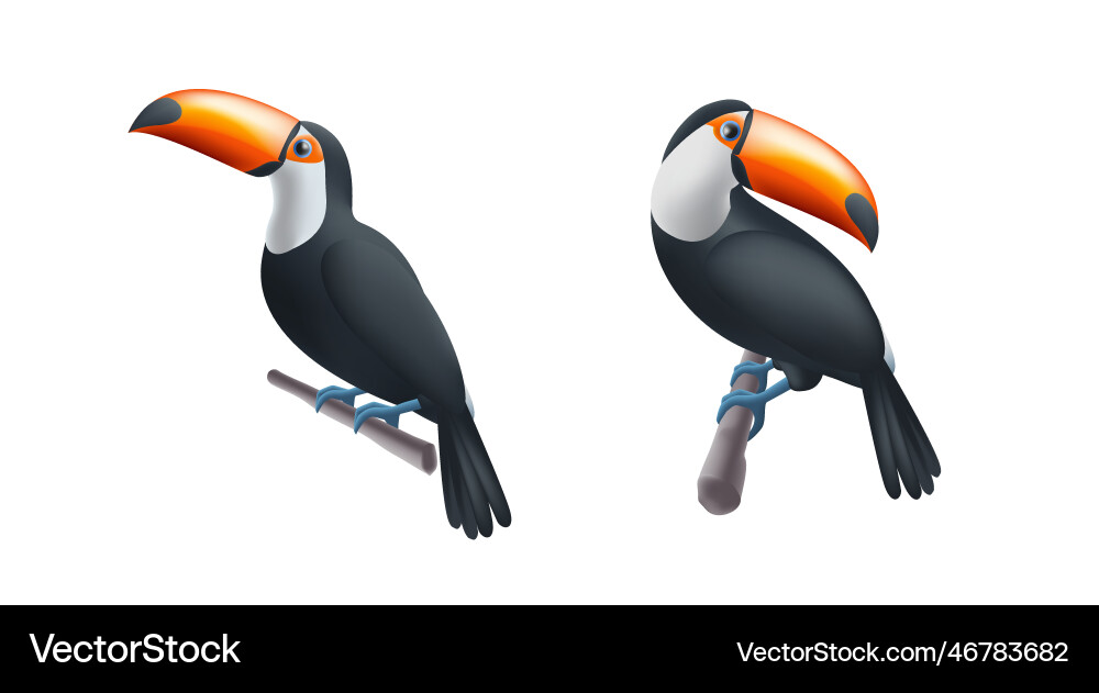 Exotic Toucan on Branch - 3D Render Vector Image