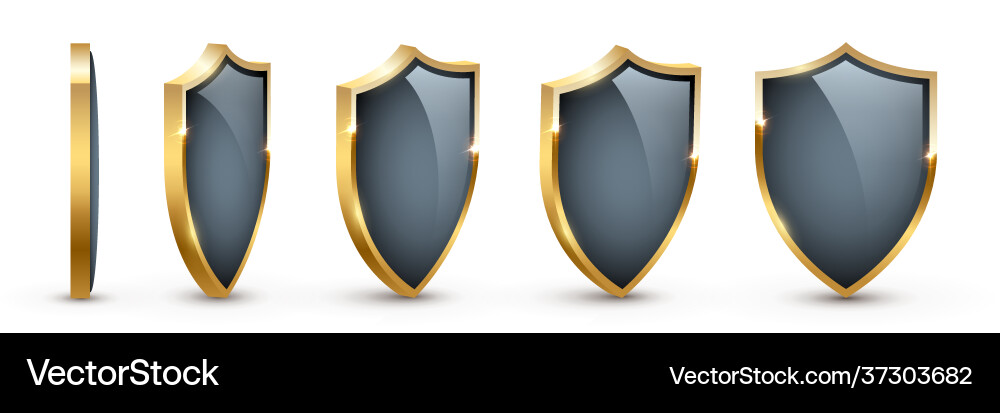 Shields with reflection in shiny gold frames front Shields with reflection in shiny gold frames front vector image