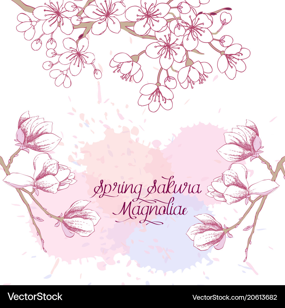 Spring background with sakura blossom trees Vector Image